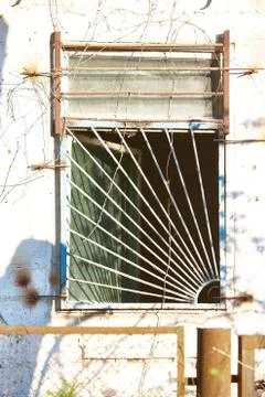Window on an old facade shaded by tree branches Stock Photos