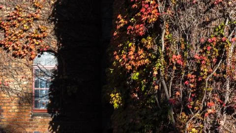 The window of the old house is in shadow Foto stock
