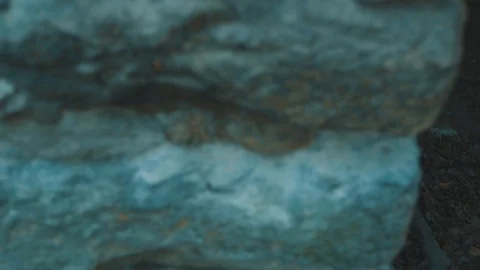 Window in Old Tower Ruin | HD Stock Footage 88323857