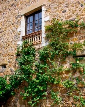 Window in an old wall Stock Photos