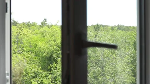 Window opened into the garden 動画素材 64622572
