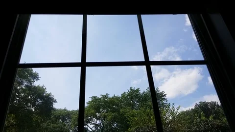 Window pane #2 Stock Footage 94495085