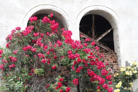 Window pane in a building Fotos de archivo