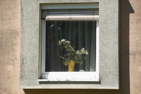 Window pane in a building Fotos de archivo