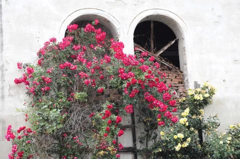 Window pane in a building Fotos de archivo