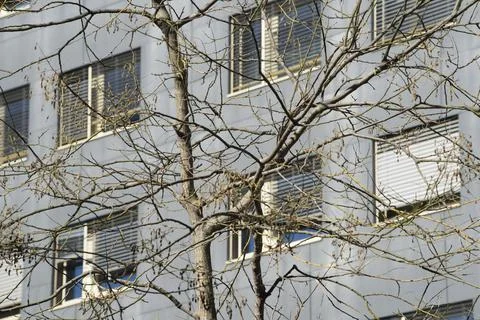 Window pane in a building Fotos de archivo