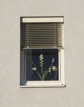 Window pane in a building Fotos de archivo