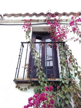 Window pane in a building Fotos de archivo
