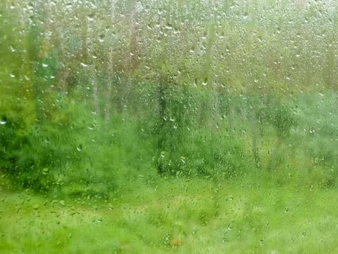 Window pane during a rain, blurred vegetation through the glass Foto stock