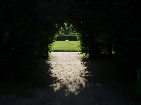 Window to the park from the hedge Stock Photos