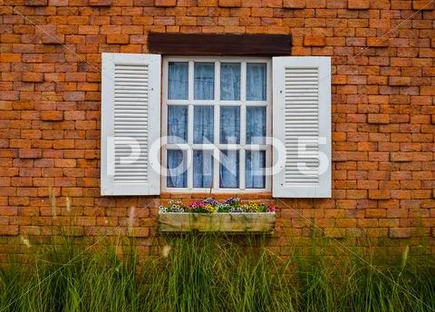 Window Stock Photos