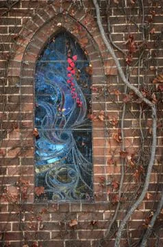 The window Foto stock