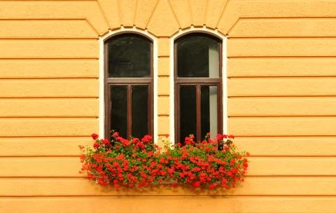 Window Stock Photos