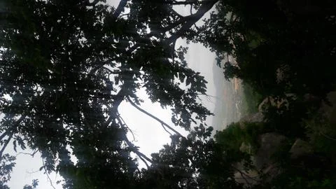 Window 스톡 사진