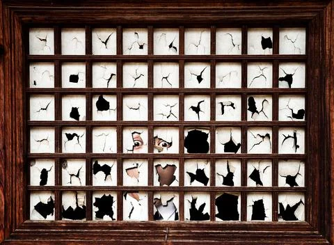 Window. 스톡 사진