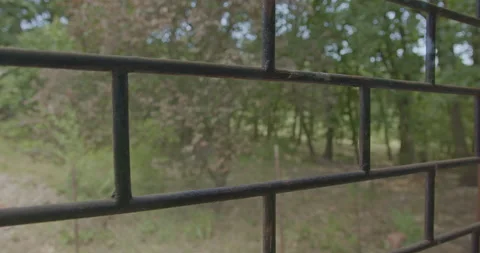 Window protection grille with forest behind. POV. Stock Footage 158746609
