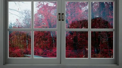 A window in rainy weather. Raindrops dripping down the window pane. 4K Stock Footage 212435428