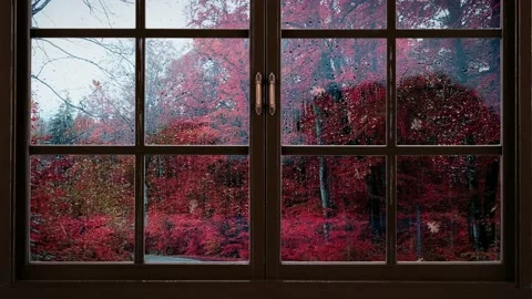 A window in rainy weather. Raindrops dripping down the window pane. 4K Stock Footage 212435449