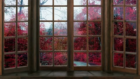 A window in rainy weather. Window overlooking the forest in the rainy season. 4K Stock Footage 212538867