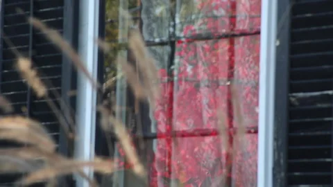 WINDOW REFLECTION Stock Footage 181917950