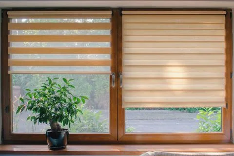 Window roller, duo system day and night.  Cozy home interior. Stock Photos