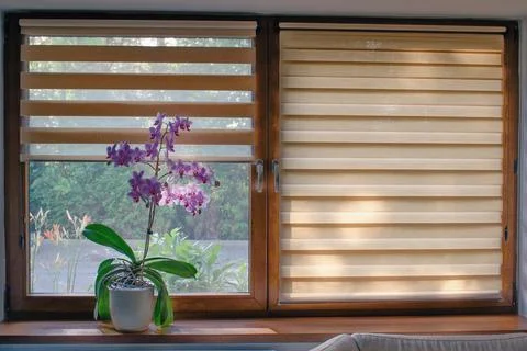 Window roller, duo system day and night.  Cozy home interior. Stockfoto's