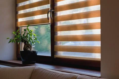 Window roller, duo system day and night. Morning light shining through the wi Stock Photos