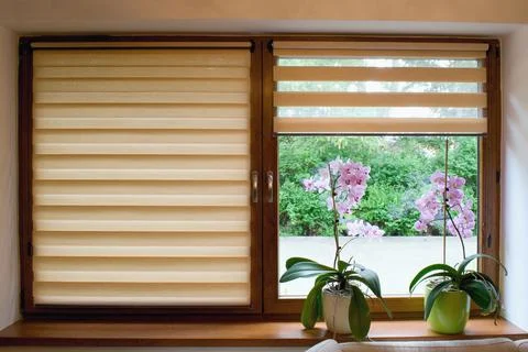 Window roller, duo system day and night.  Cozy home interior. Foto stock