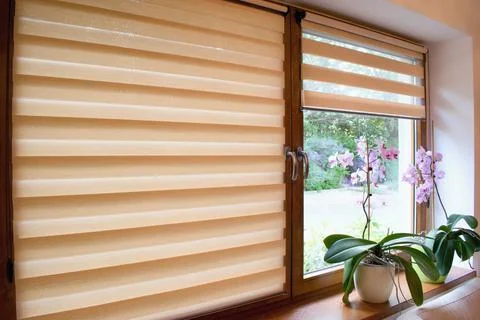 Window roller, duo system day and night.  Cozy home interior. Stock Photos