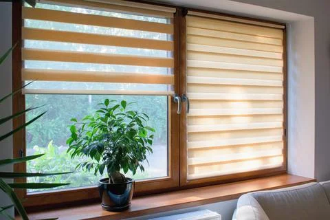 Window roller, duo system day and night.  Cozy home interior. Stockfoto's