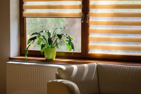 Window roller, duo system day and night.  Cozy home interior. Stock Photos