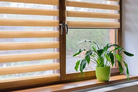 Window roller, duo system day and night.  Cozy home interior. Stock Photos
