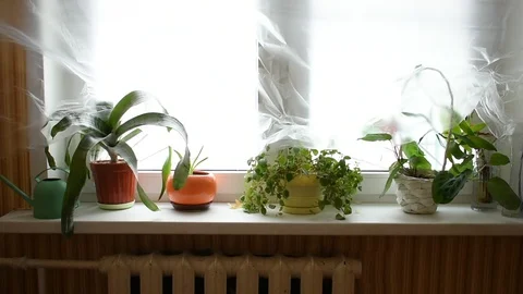 Window in the room is covered with cellophane Stock Footage 125367278