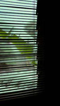 Window of the room with curtains Stock Photos