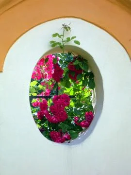 Window with roses Stock Photos