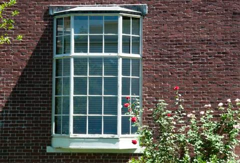 Window with roses Stock Photos