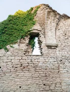 Window in Ruin Stock-Fotos