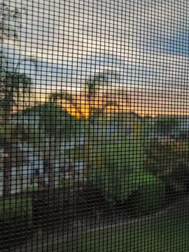 Window screen sunset view out of focus Stock Photos
