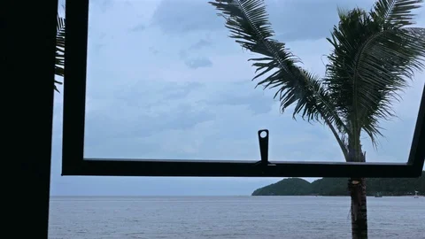The window with the sea breeze blows out the coconut trees before it rains. 스톡 동영상 90663064