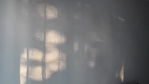 Window Shadow of Moving Curtain on Wall Sunlight Overlay 動画素材 338096900