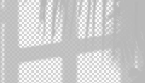 Window shadow overlay with palm leaf silhouette for creative graphic design 库存插图