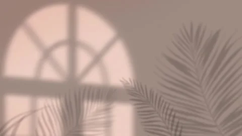 Window shadows and leaves during the day Stock Footage 279135667