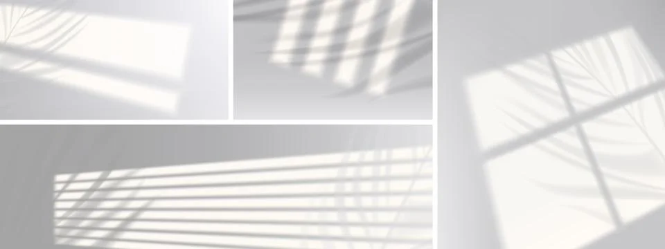 Window shadows with plant branches on wall, vector Stock Illustration
