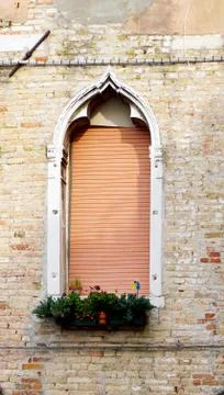 Window shape with plant on old brick wall Stock Photos