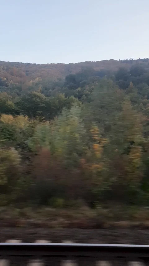 Window shot from train passing a dense mountain forest in autumn 스톡 동영상 334915972