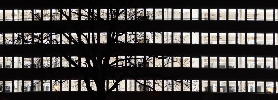 The window side by the side behind the black tree Stock Photos