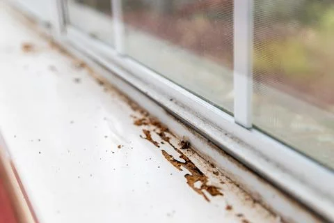 Window sill showing termite damage Stock Photos