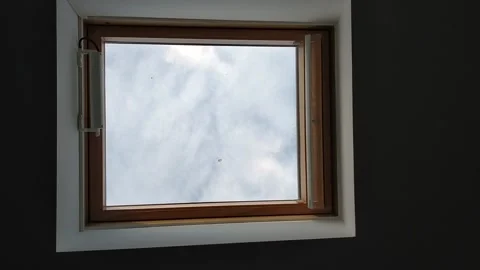 Window on the sky Stock-Footage 166605344