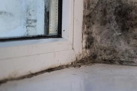 The window slopes were covered with mold, due to poor heating and high humidi Stock Photos