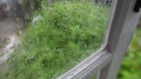 Window slow 3 Stock Footage 130550832